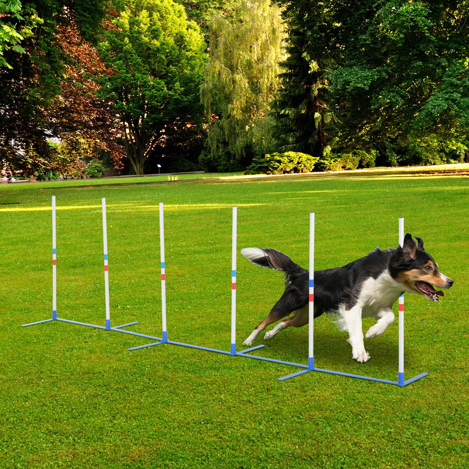 Kit équipement agilité chien slalom extérieur