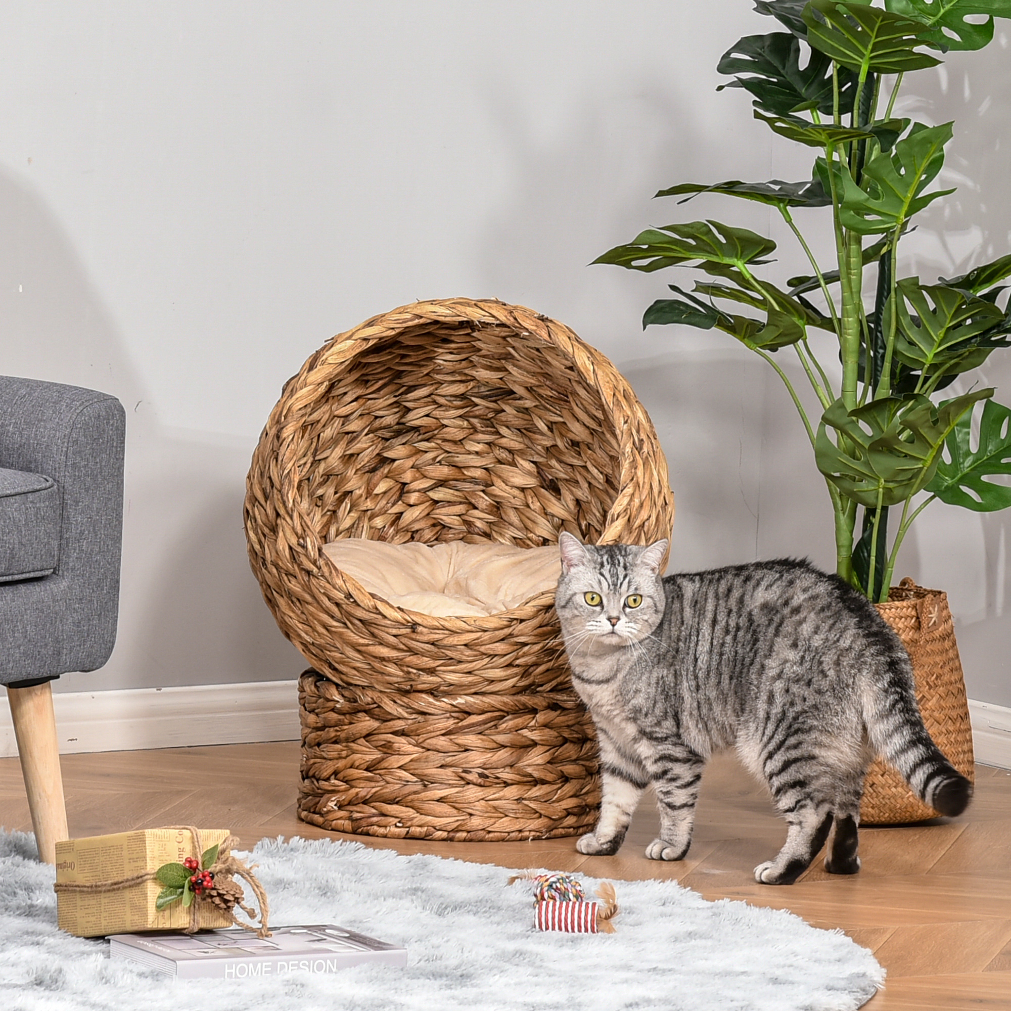 Lit chat surélevé tissé avec coussin, forme oeuf, panier, 23,5" H