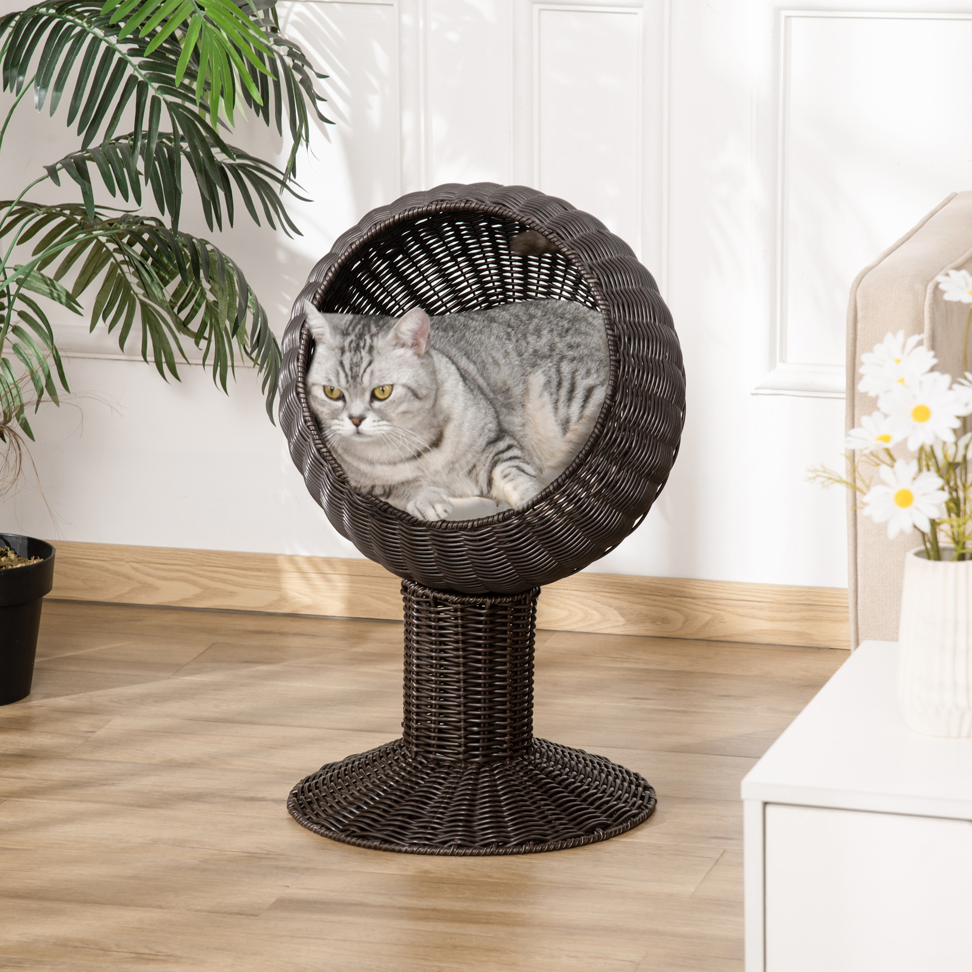 Lit chat surélevé chaise œuf rotatif panier café
