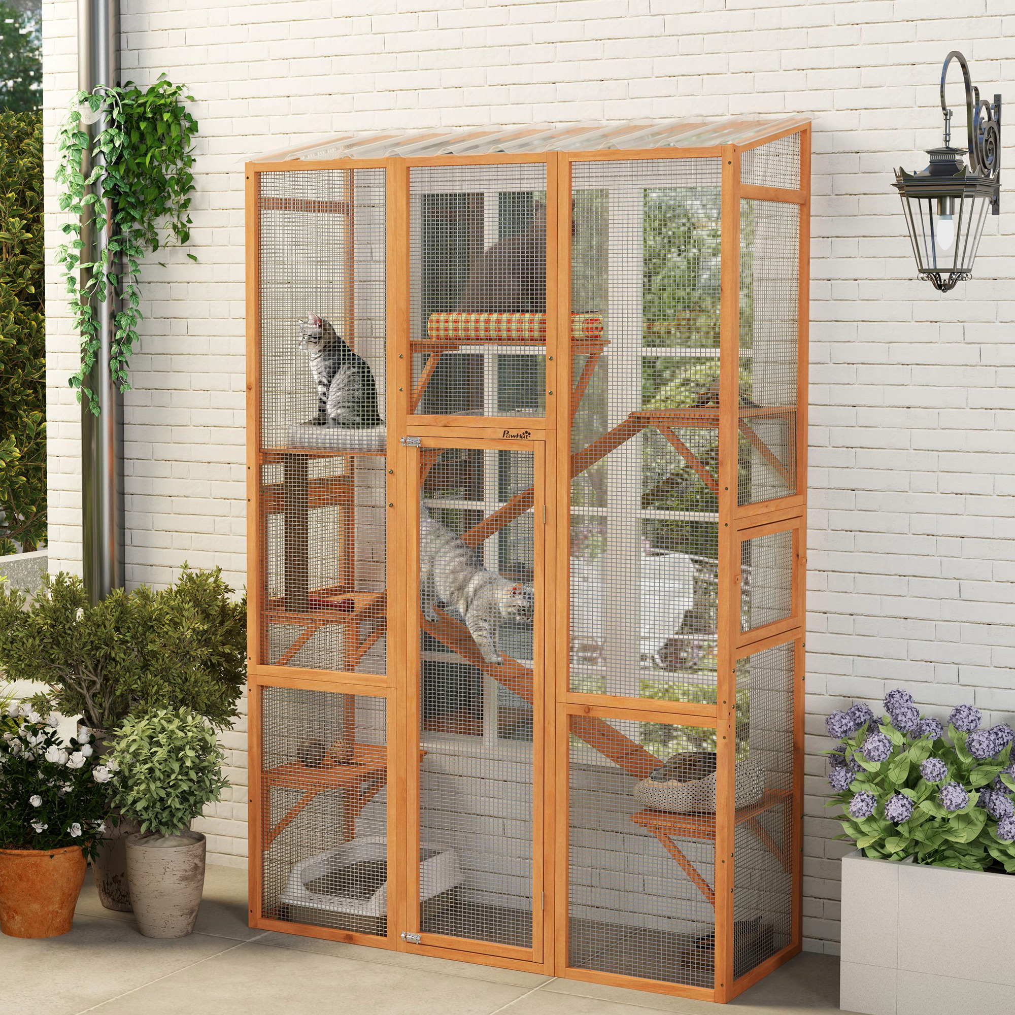 Enclos chat extérieur, grande maison en bois, 6 plateformes, 2 rampes