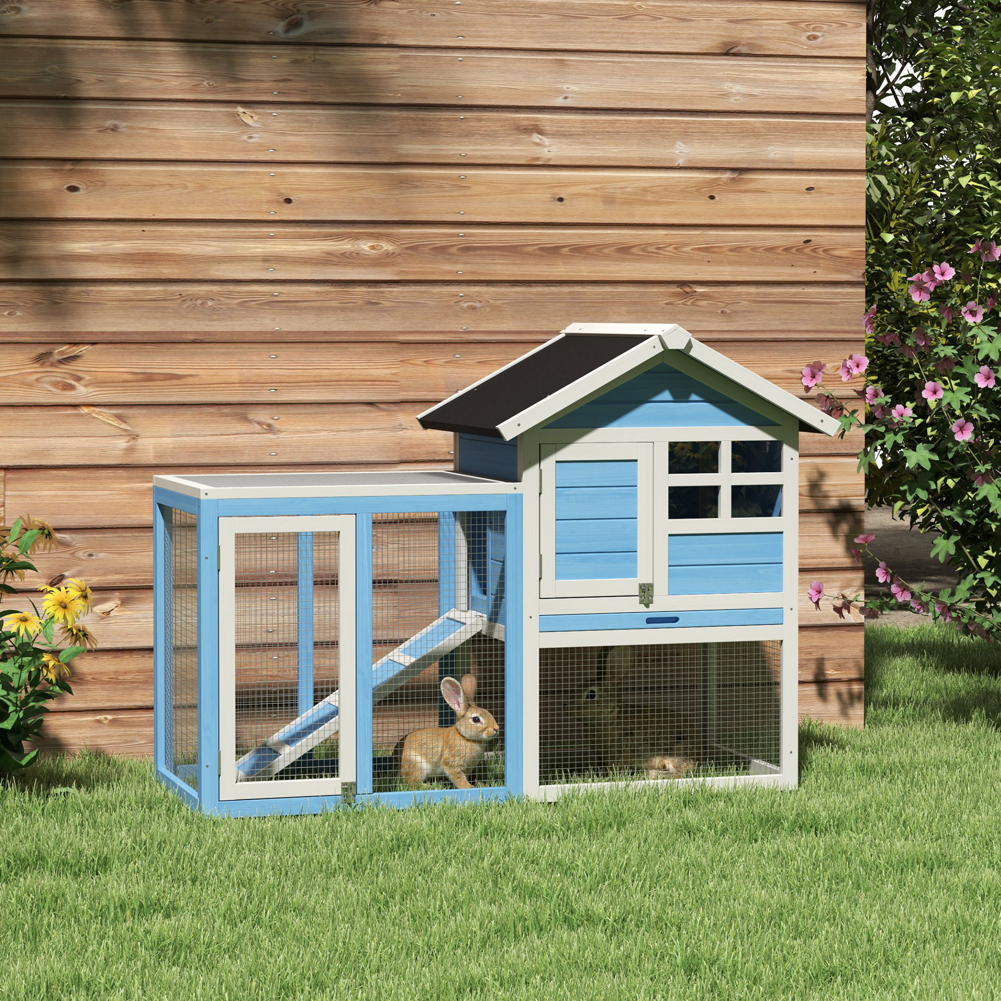 Clapier lapin 48" toiture asphalte, enclos, rampe, bleu clair