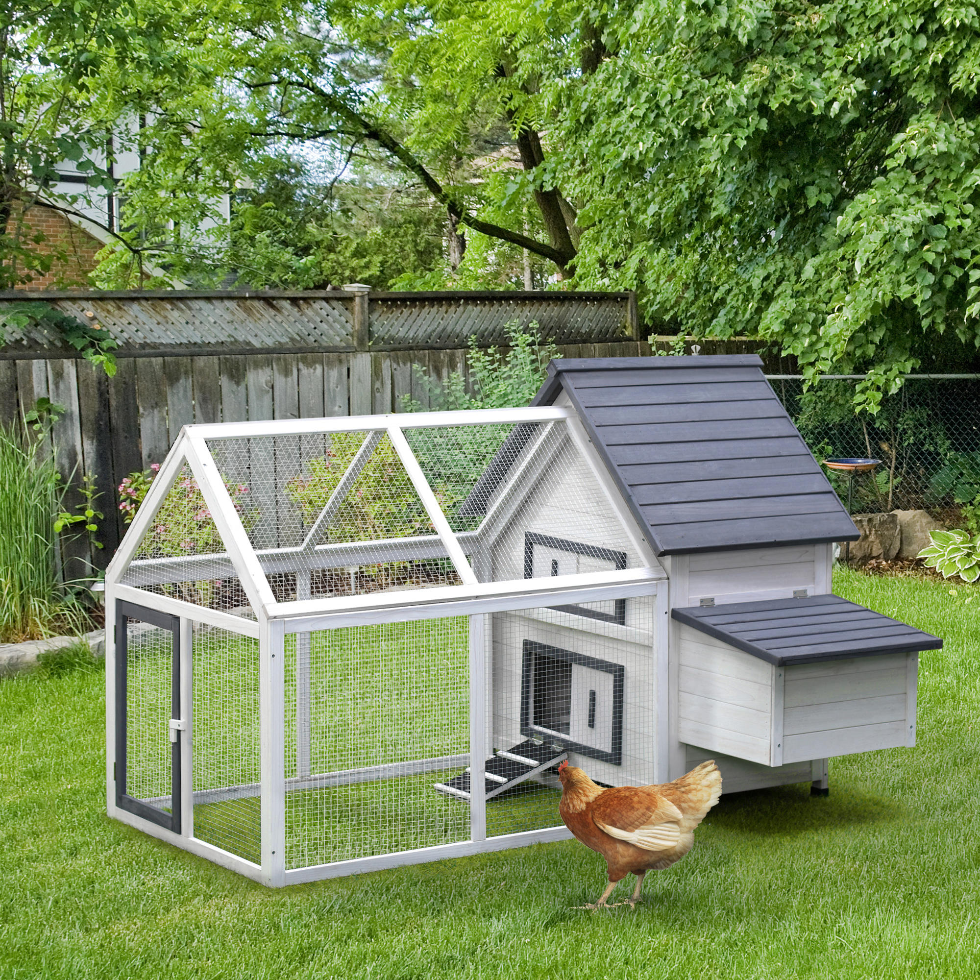 Poulailler en bois 65" avec nid, rampe et enclos