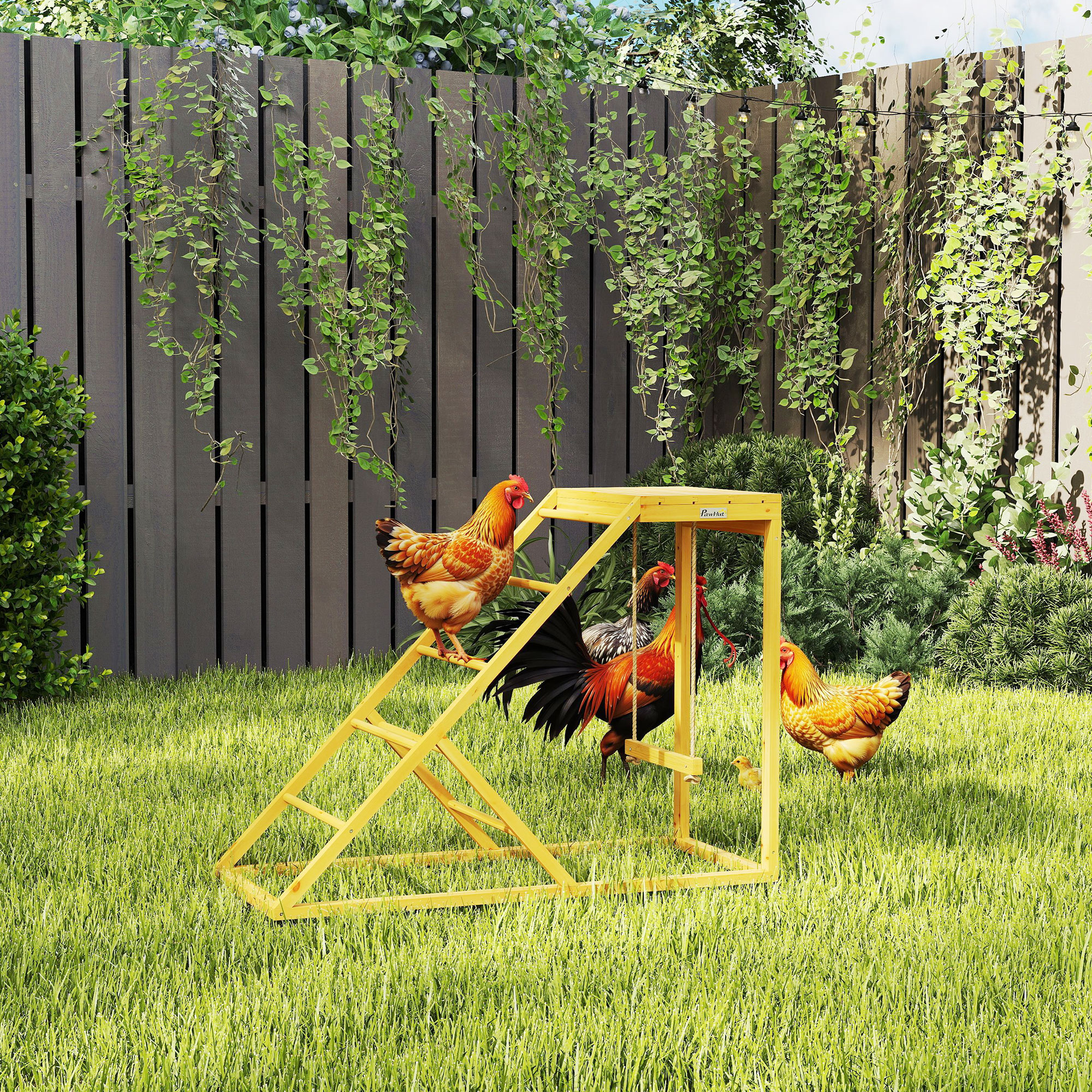 Jeux activités poulets, perchoirs, échelle, jouet poulailler, jaune