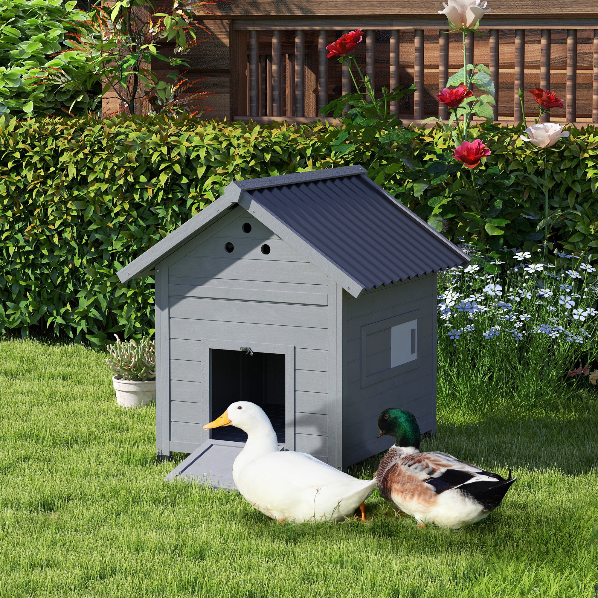 Poulailler canards bois toit ouvrant, 2 portes gris clair