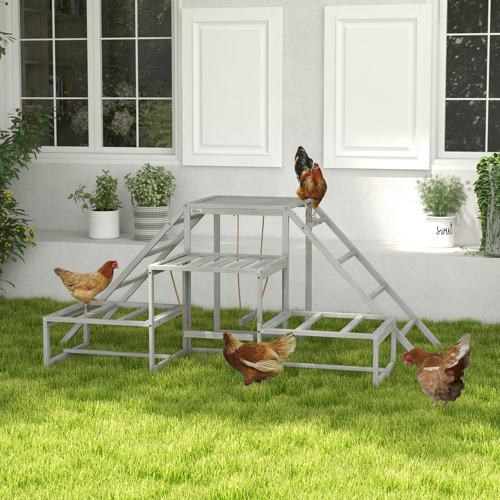 Perchoir poules bois, accessoires, plateforme escalier 10-15 poules
