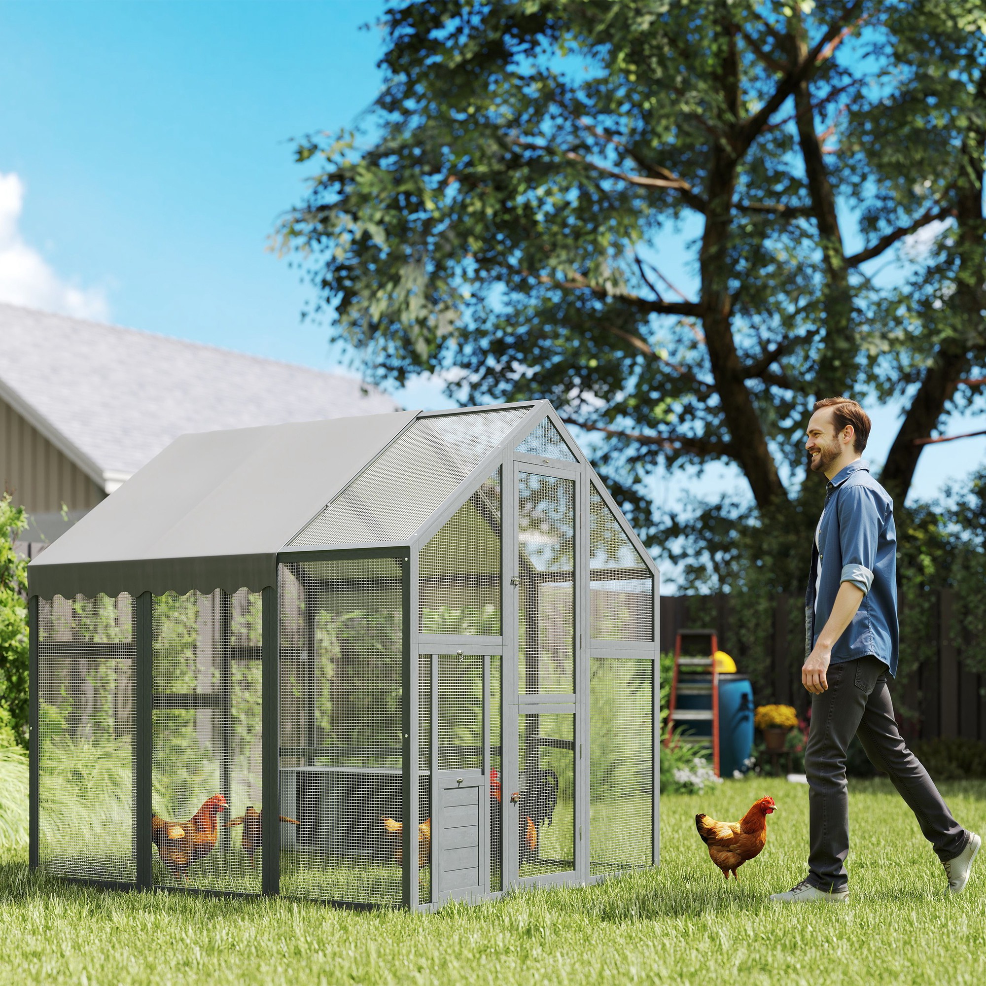 Enclos poulailler bois grand 5,5 x 6 x 6, 6-8 poules
