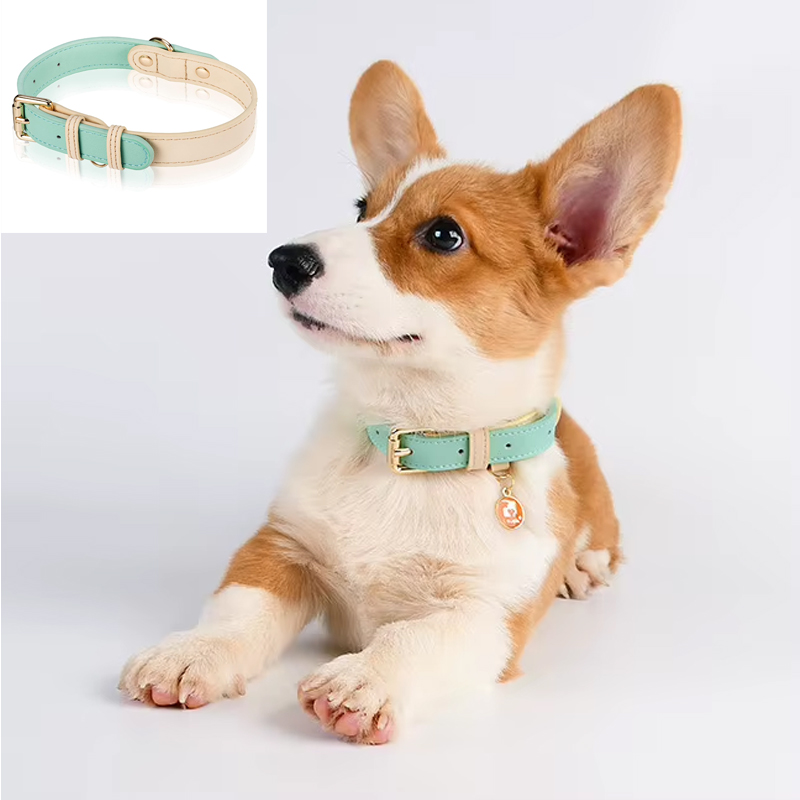 Collier de cuir pour chiens, ajustable, S M L