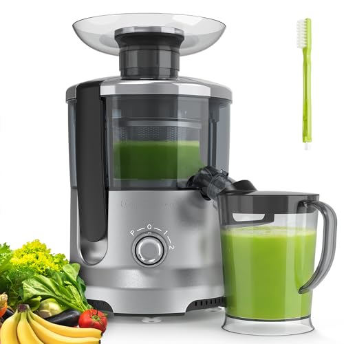Centrifugeuse 500 watts, ouverture 2po, fonction 3 vitesses, bac fruits et légumes