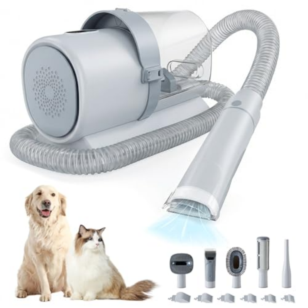 Tondeuse chien professionnelle 2.5L, 3 modes, sans fil, 5 outils, silencieuse