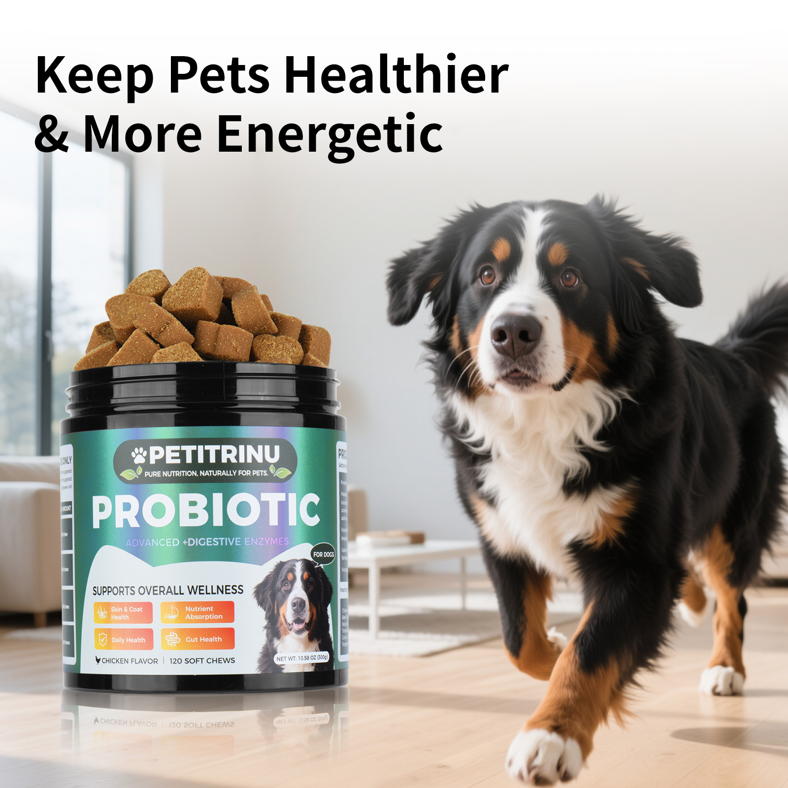 Probiotique chien enzymes digestives 120 gommes