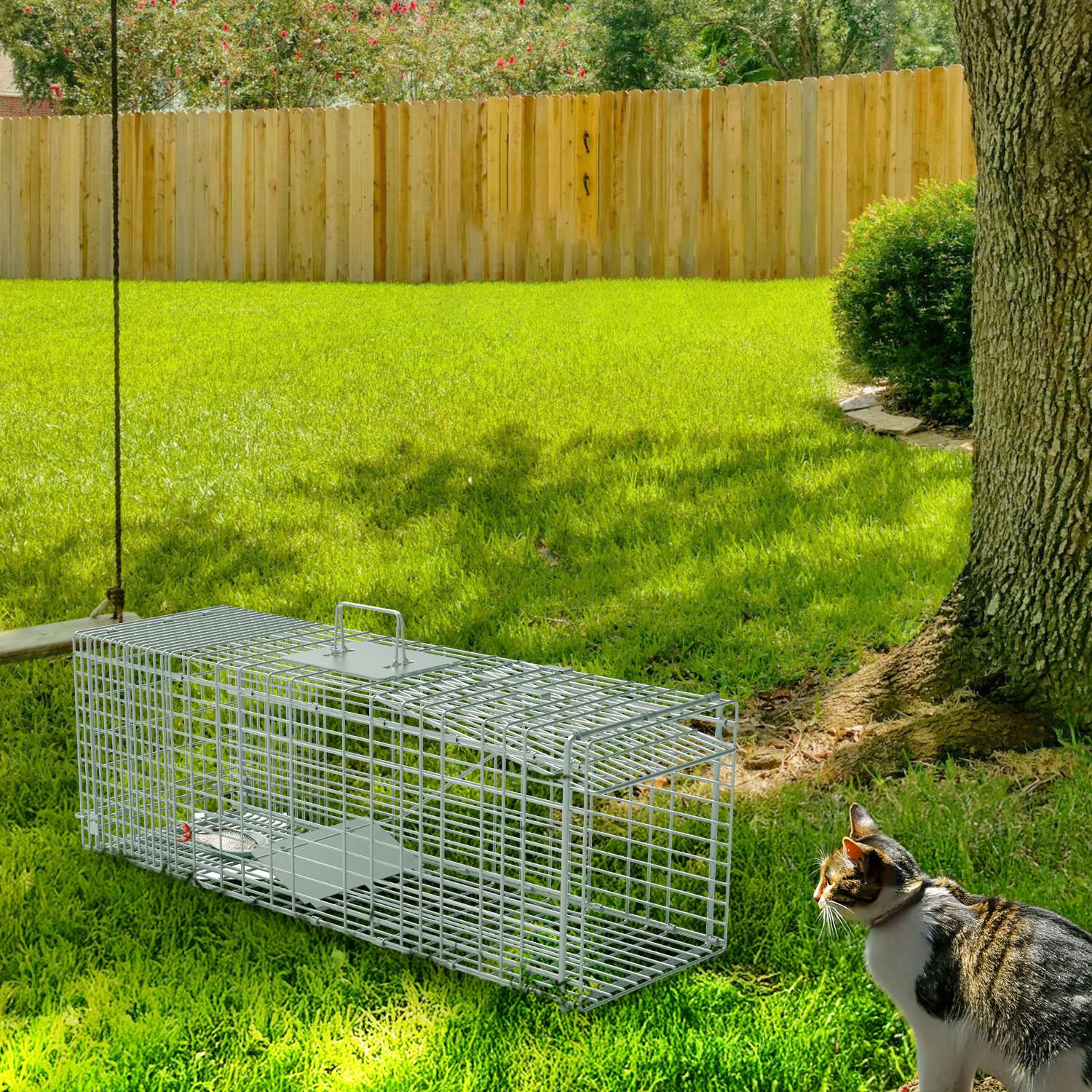 Cage Piège Chat Galvanisée Gants Humaine Effondrable