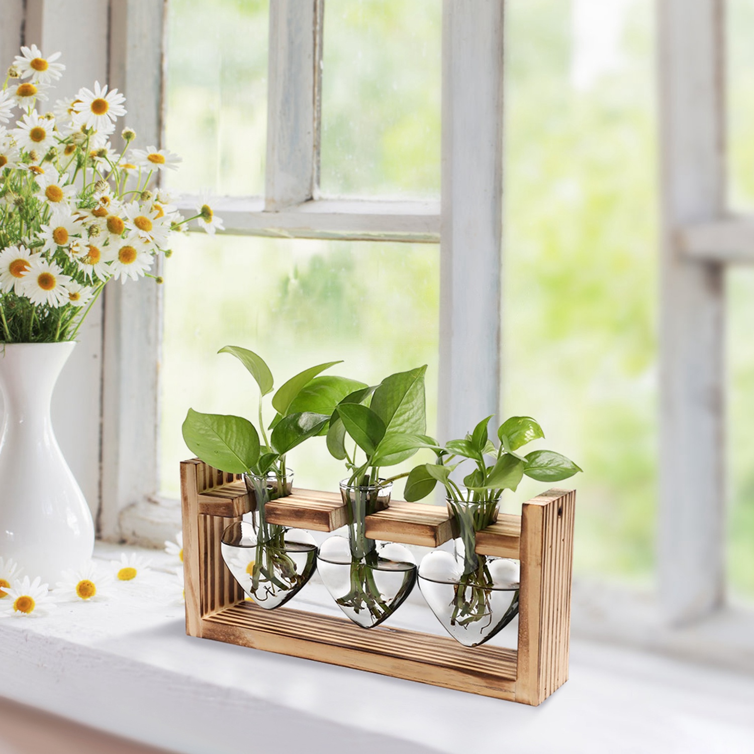 Terrarium propagation plantes 3 vases cœur support bois