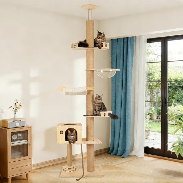 Arbre chat sol plafond 6 niveaux ajustable