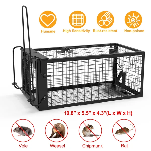 Piège souris cage humain galvanisé fer contrôle rongeurs