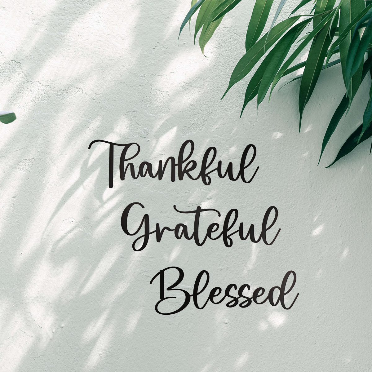Ensemble 3 art mural versets gratitude écriture