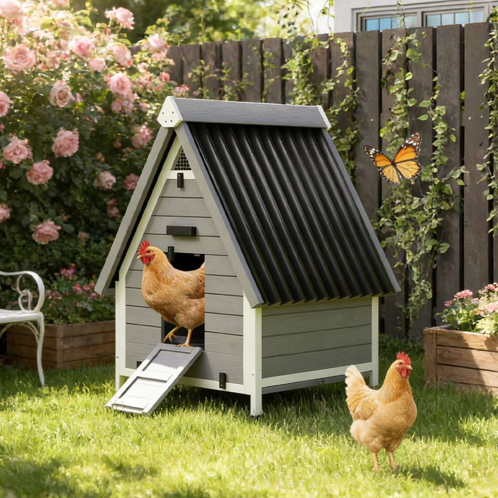 Poulailler 2 poules, bois nid amovible, rampe