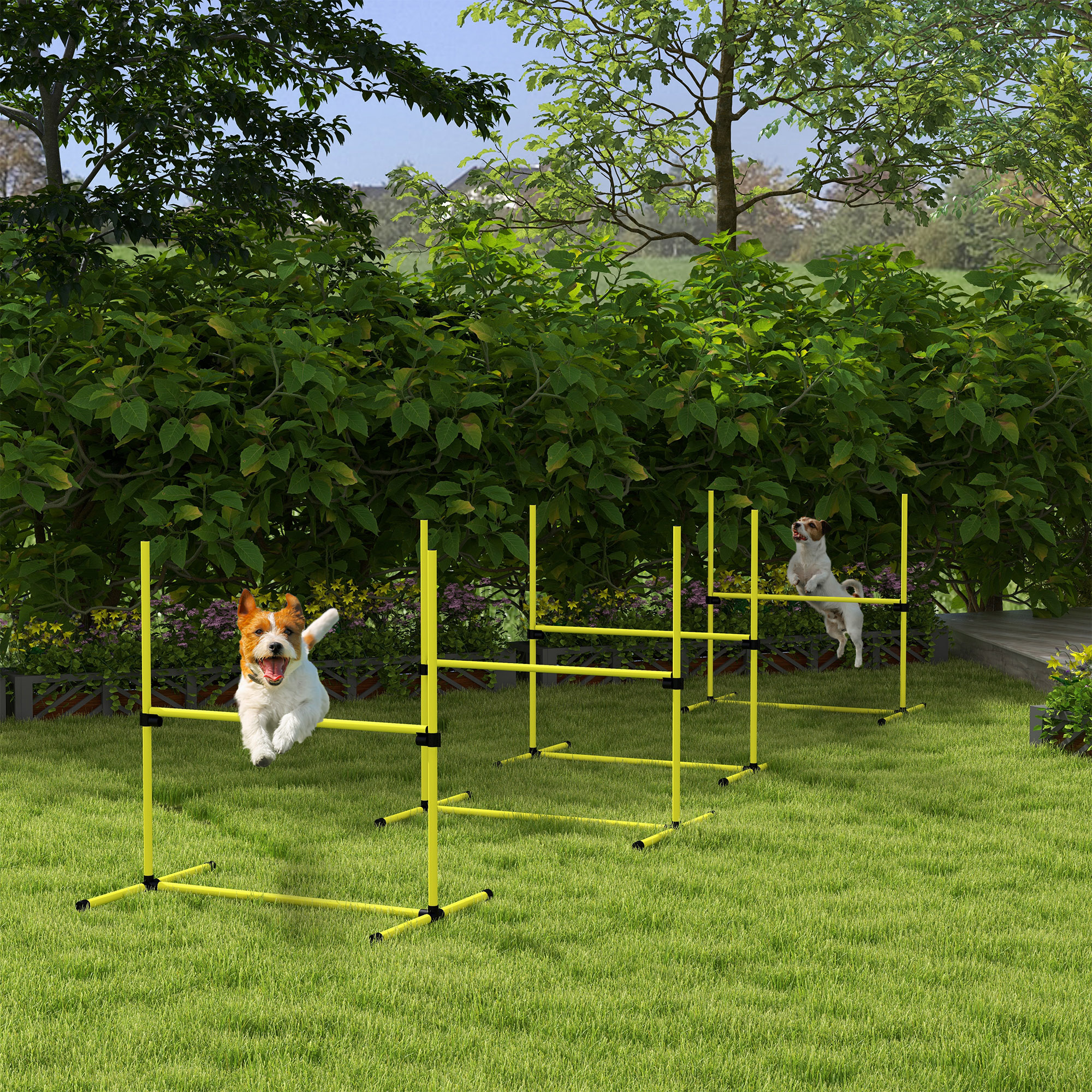 Ensemble agilité chien 4 pièces, barres ajustables