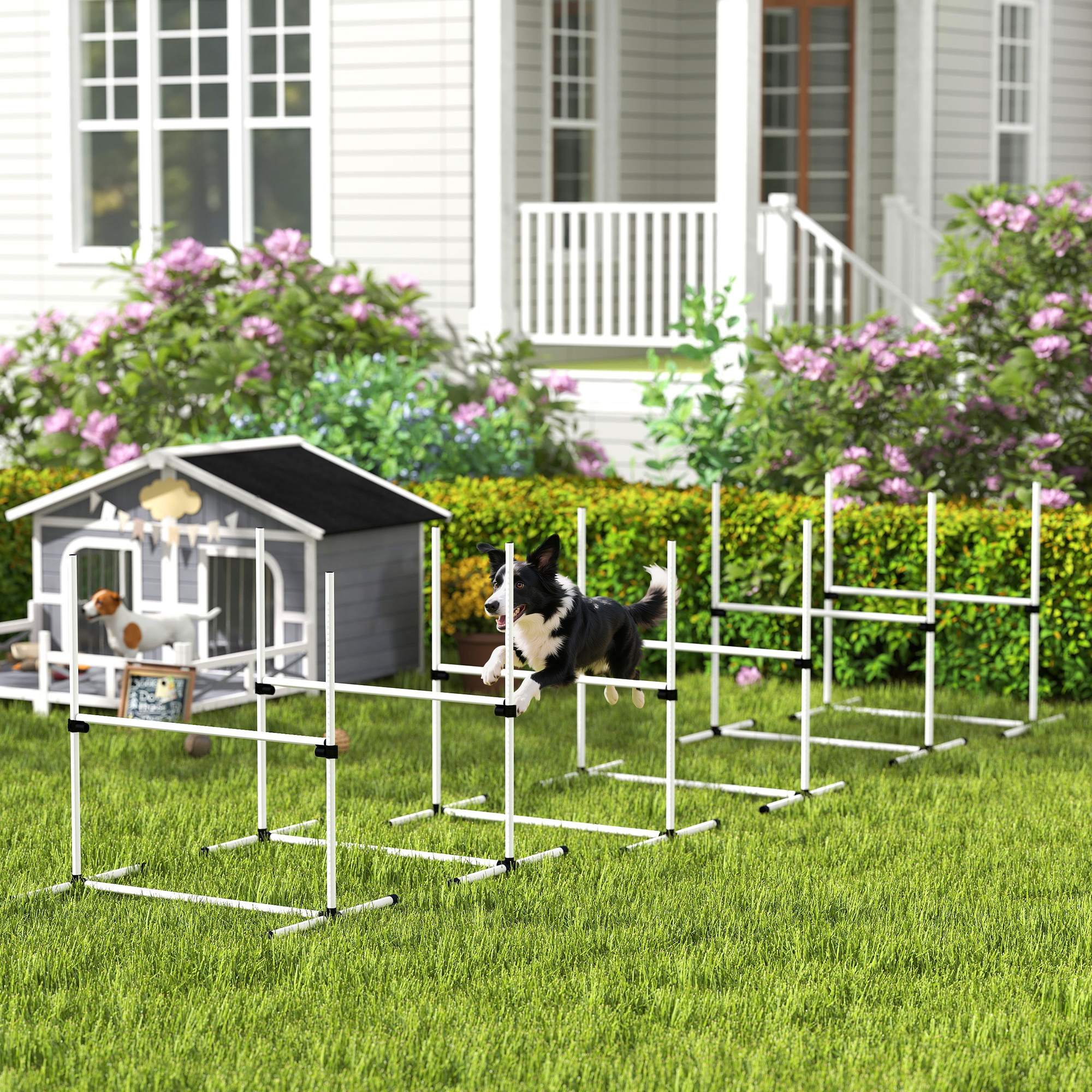 Ensemble agilité chien 6 pcs barres sauteuses sac blanc