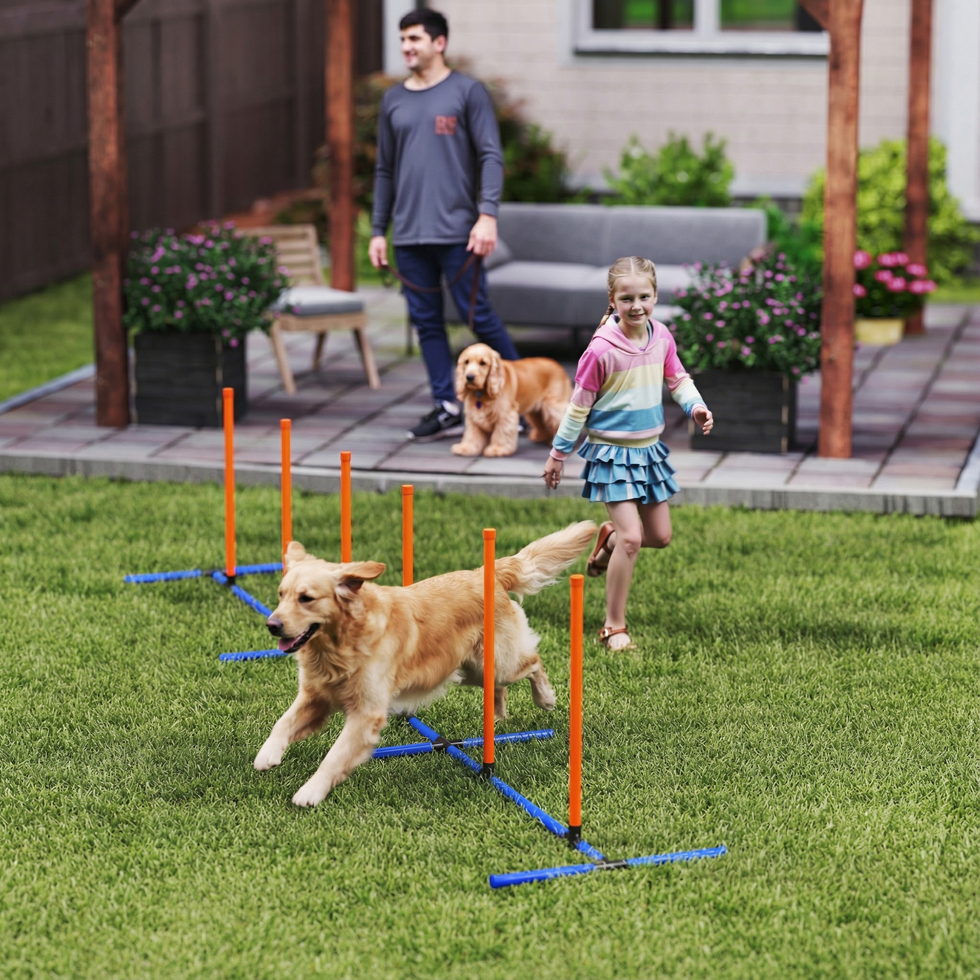 Équipement agilité chien poteaux ajustables sac