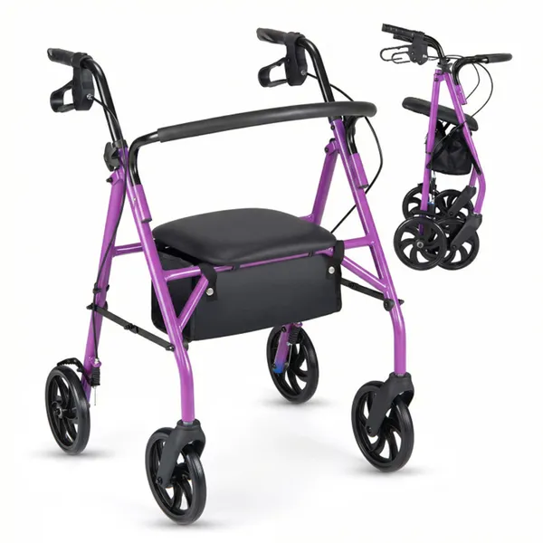 Marchette 2-en-1 avec Siège Roues 8 po Mauve