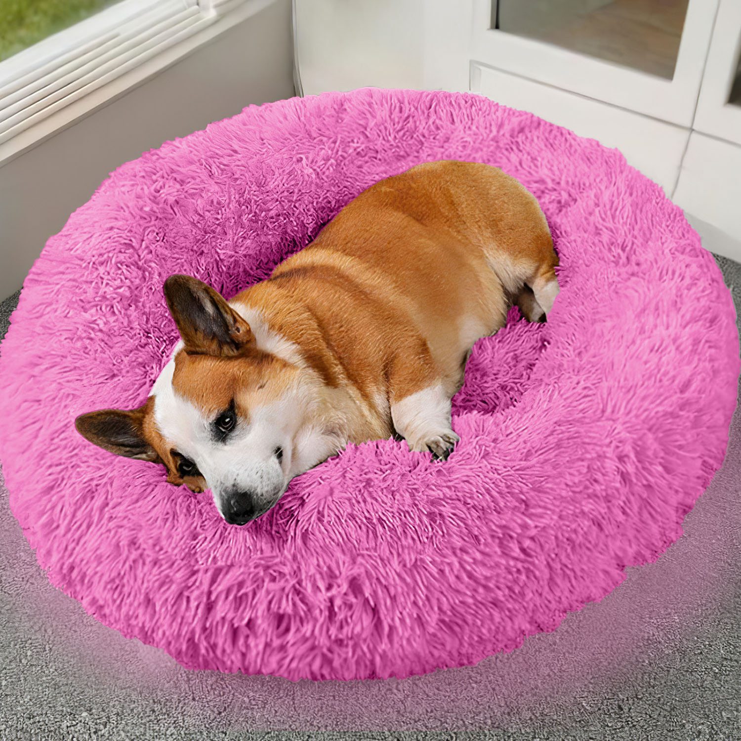 Lit chien doux, polaire, coussin, nid confortable
