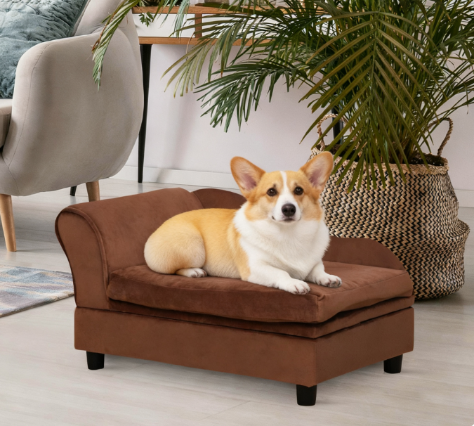 Sofa chien petit chiens rangement marron