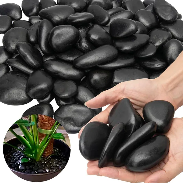 38lbs Roches Rivière Noire, Galets Polis 2-3po - Décoration Plantes