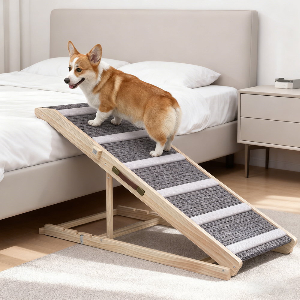 Rampe chien canapé ajustable, pliable, petits/grands chiens