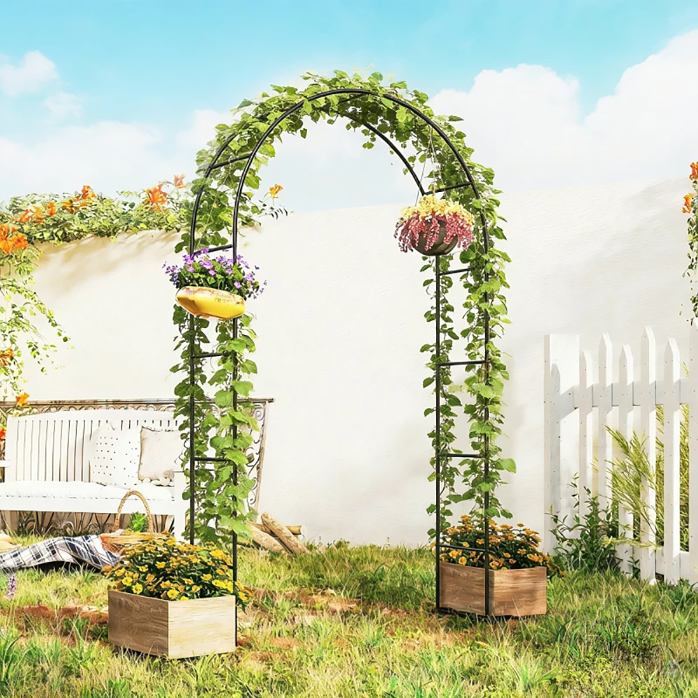 Arche jardin acier 8pi, base large, plantes grimpantes