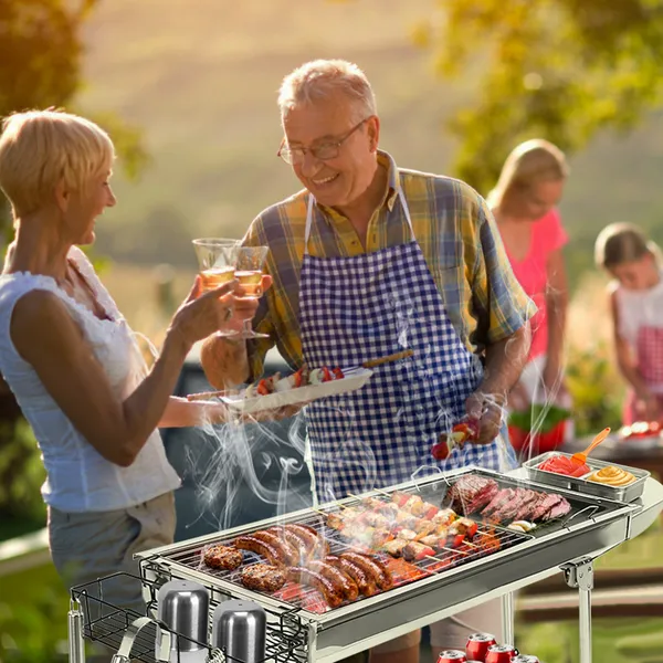Grill BBQ portable 16,7x10x17,7po valise charbon camping