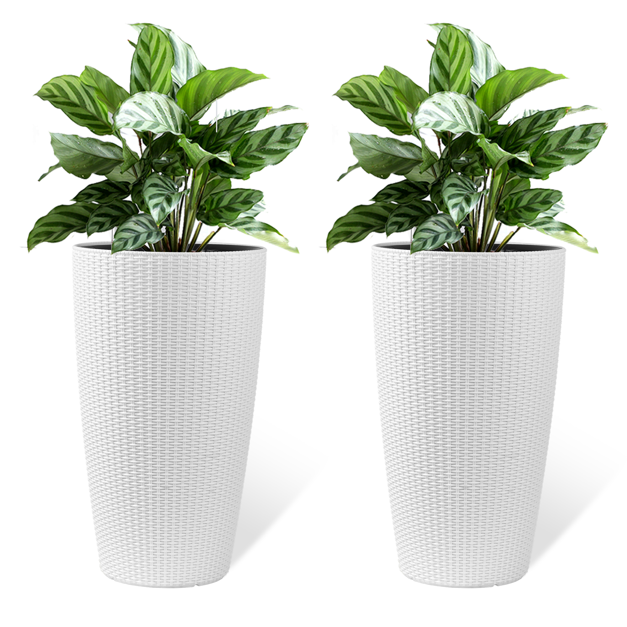 Ensemble 2 jardinières rotin 22po moniteur eau arrosage blanc
