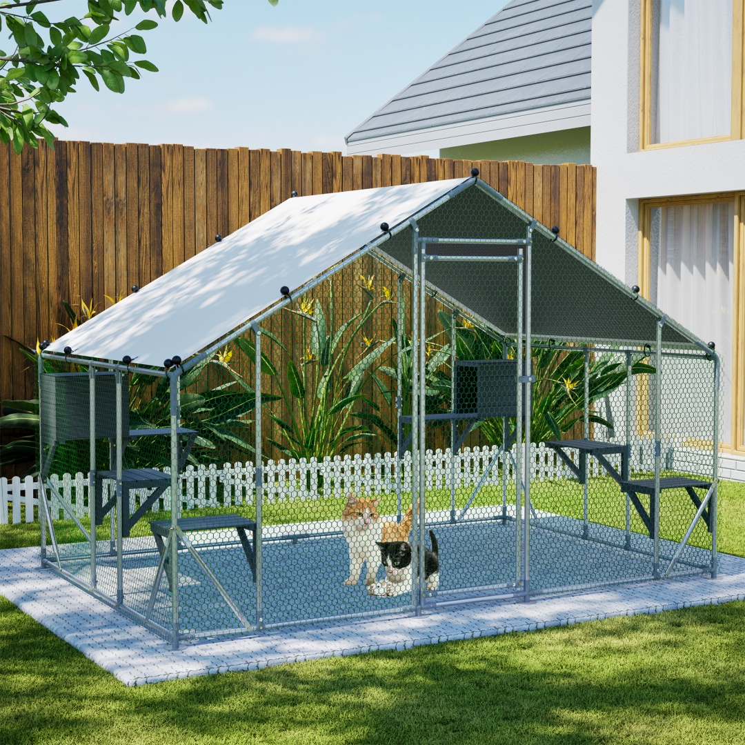 Enclos Chat Métal 3x2m Plateforme Bois Verrouillage