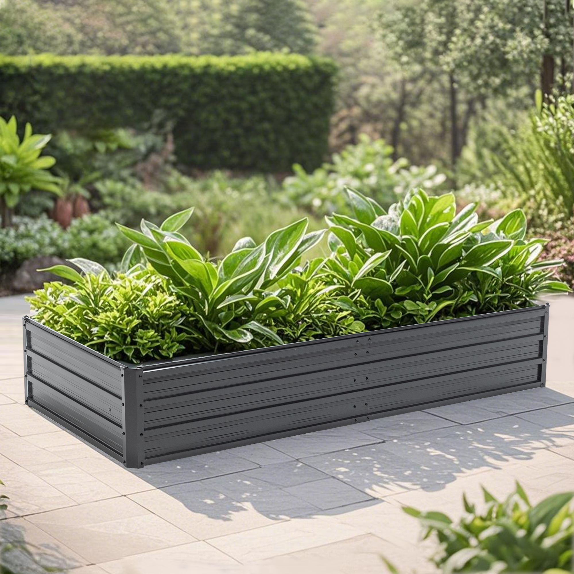 Jardinière acier galvanisé 6x3x1 pi rouille légumes herbes