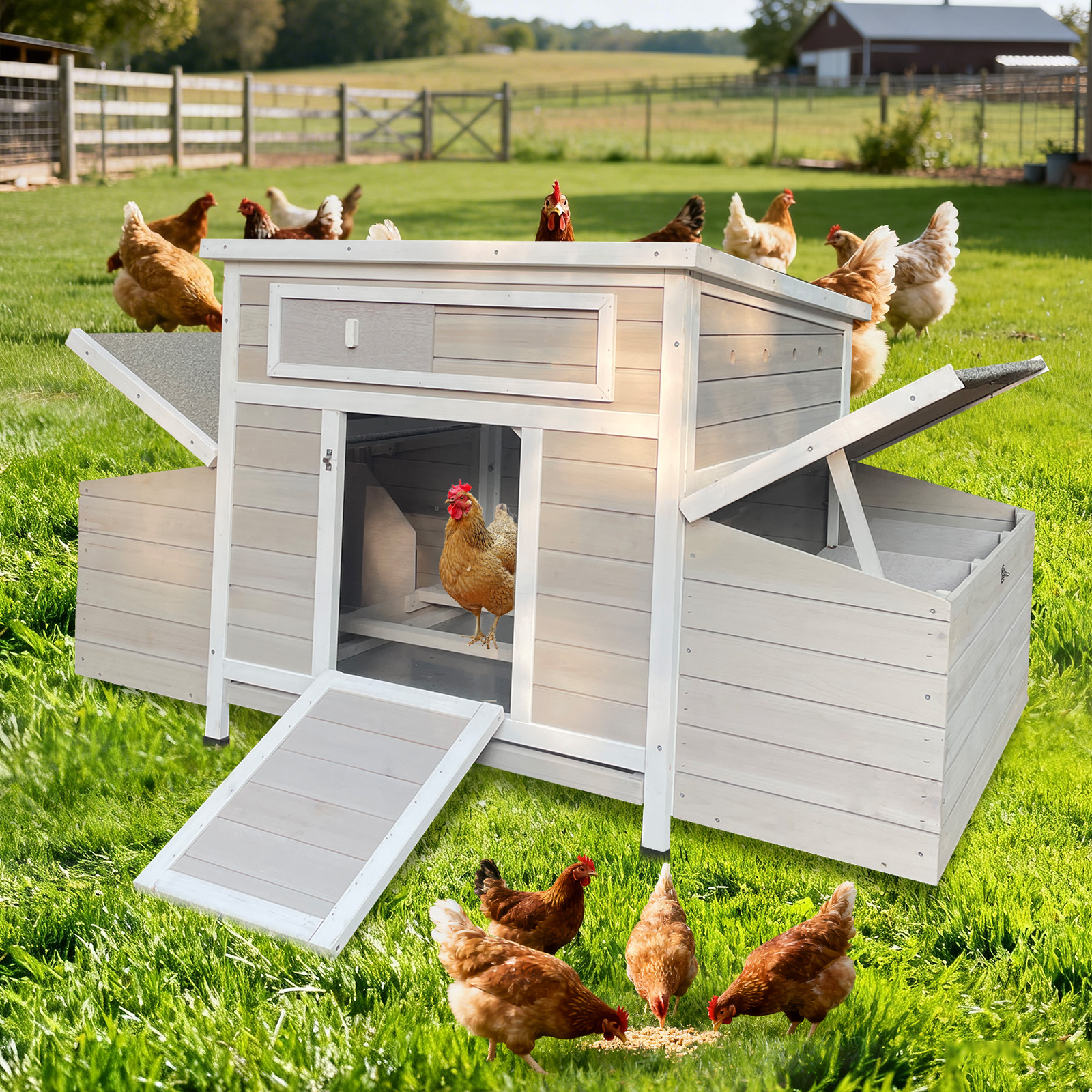 Grand poulailler bois extérieur, 2 nichoirs latéraux, cage poule-oie