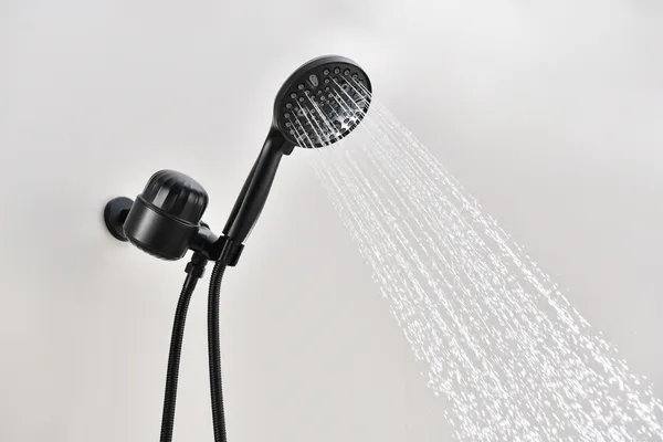 Pomme de douche portative 2,0 GPM
