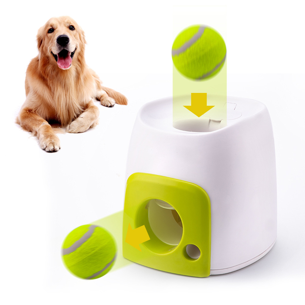 Distributeur nourriture chien intelligent ballon jouet