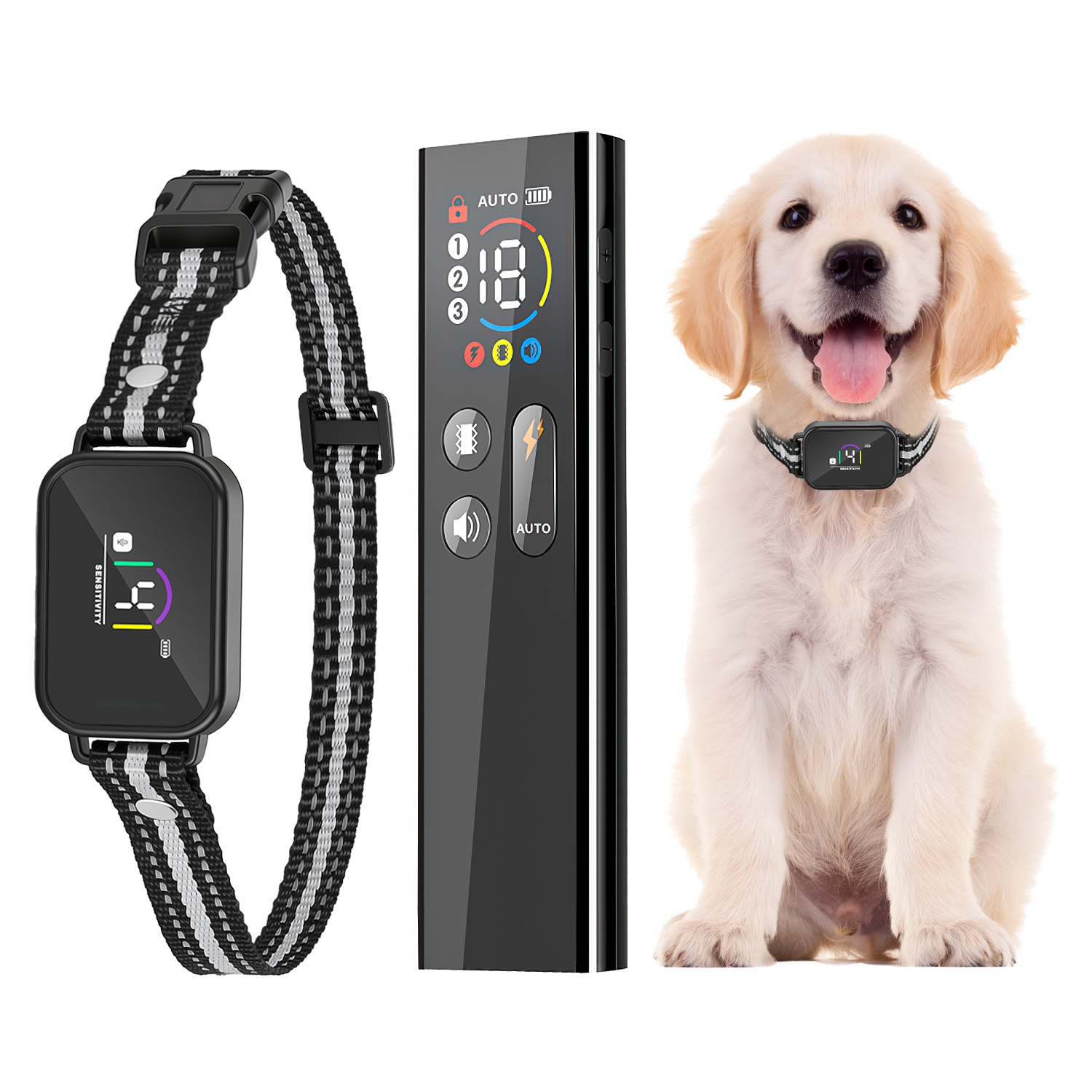 Collier choc chien télécommande rechargeable IP68
