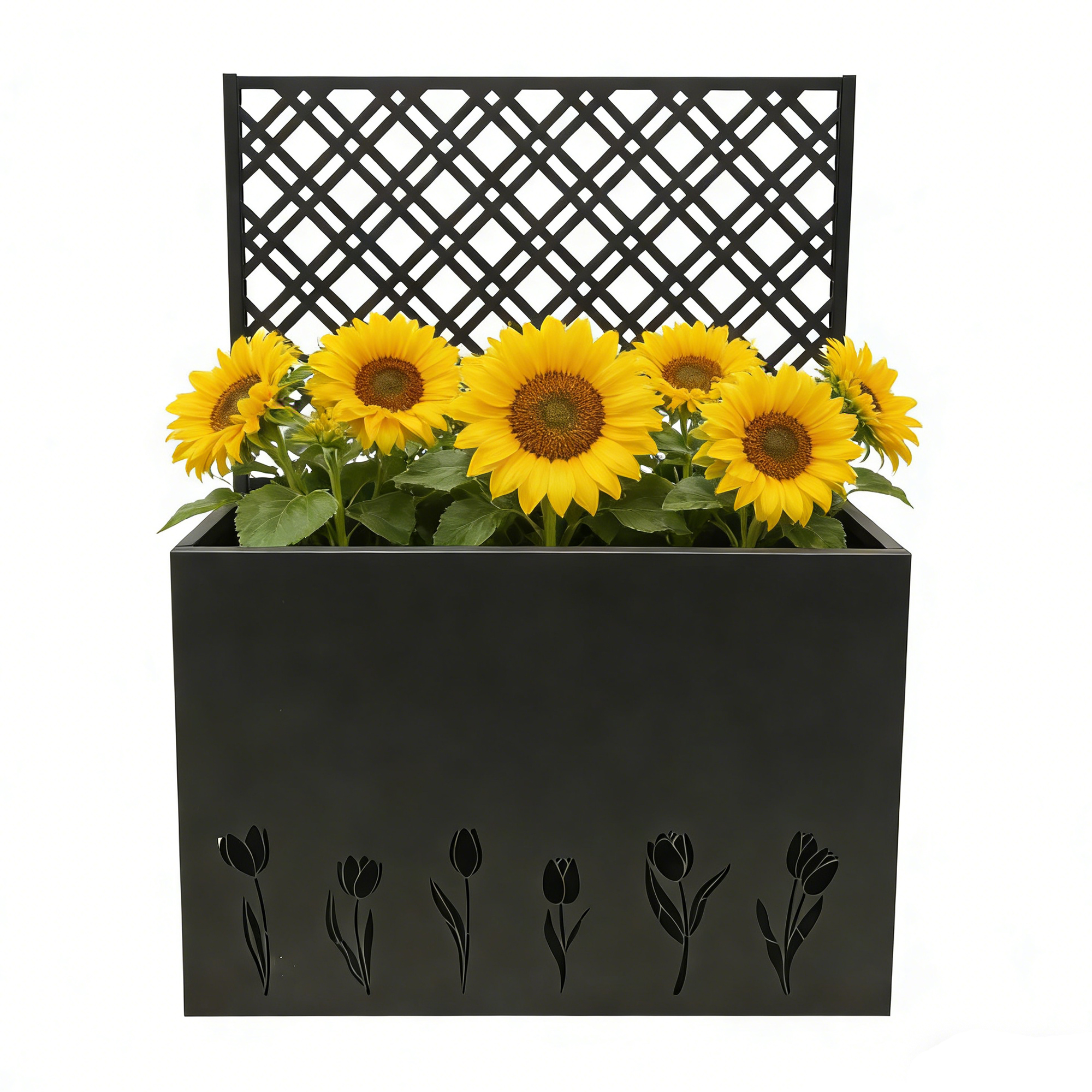 Bac jardin surélevé métal treillis 35,5x11,9x47,3 po noir Tulip