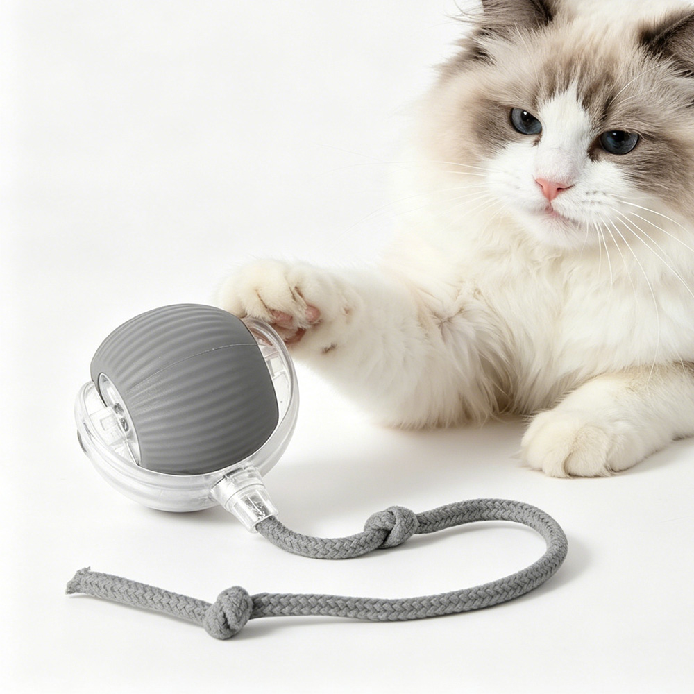 Jouet ballon électrique chien/chat intelligent