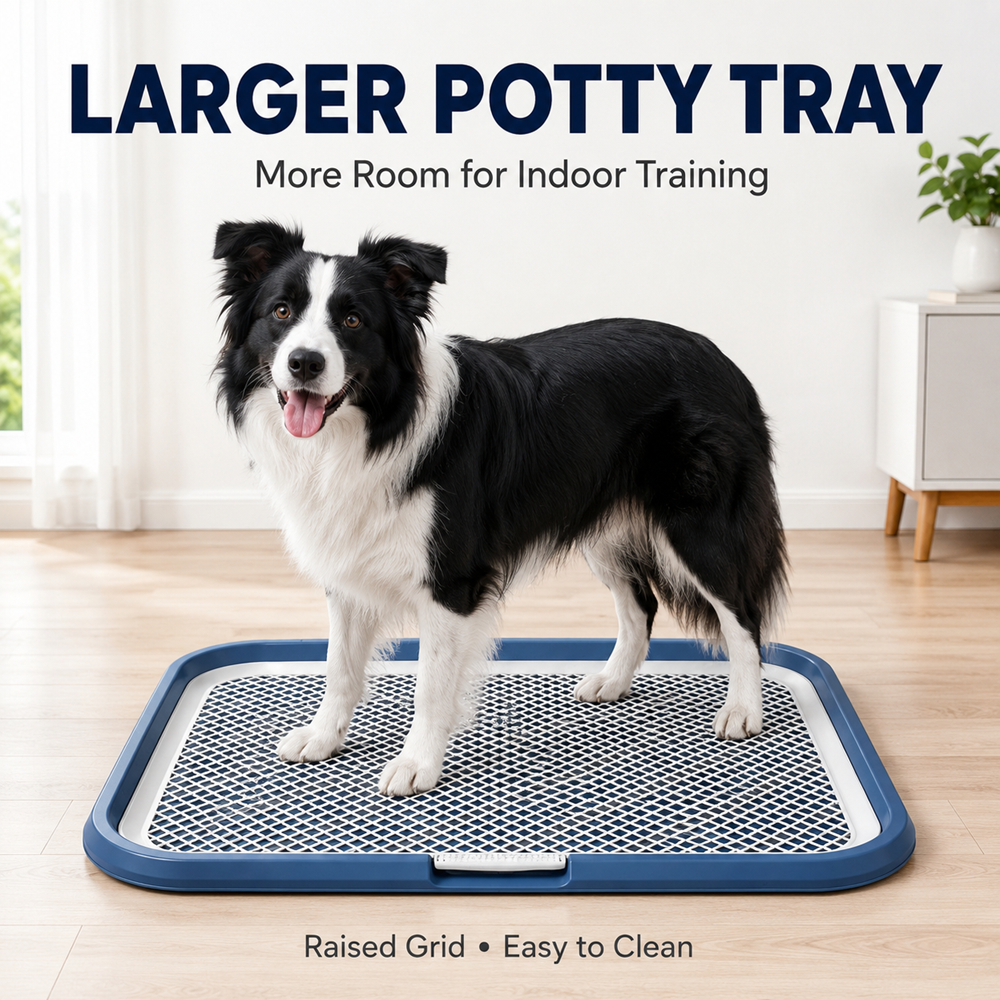 Plateau pour chien avec grille amovible anti-fuite
