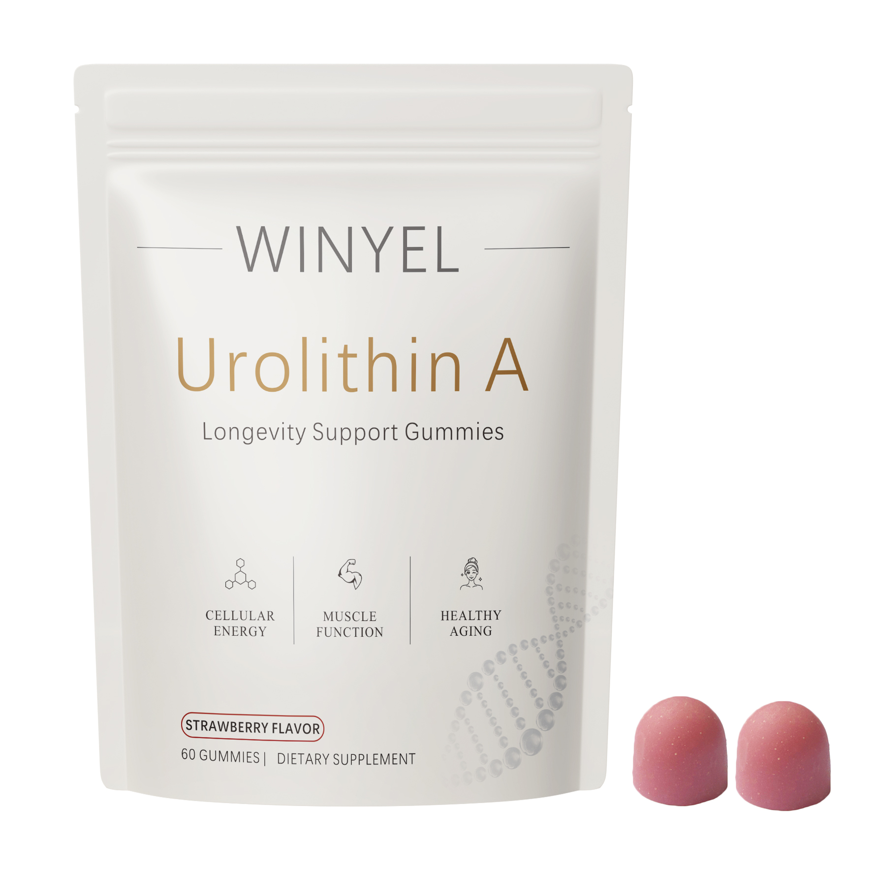 WINYEL Supplément Urolithin A 60 gommes vieillissement sain