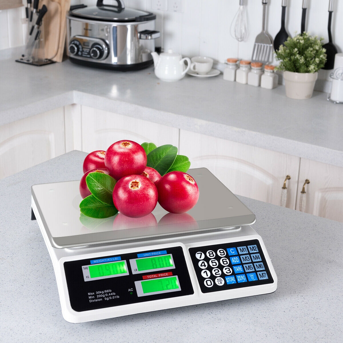 Balance Électronique 66 lbs Affichage LCD