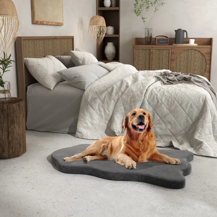 Lit orthopédique pour chien grand format mousse mémoire