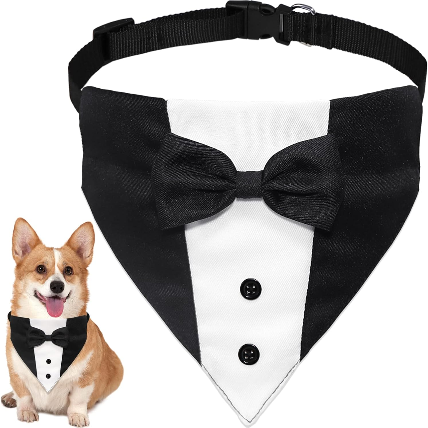 Costume de mariage pour chien avec nœud papillon ajustable