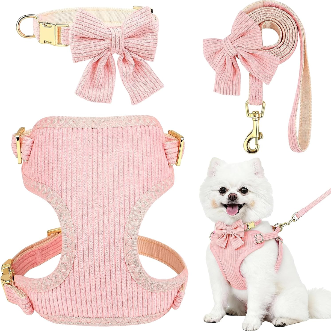 Harnais chien petit collier nœud papillon respirant
