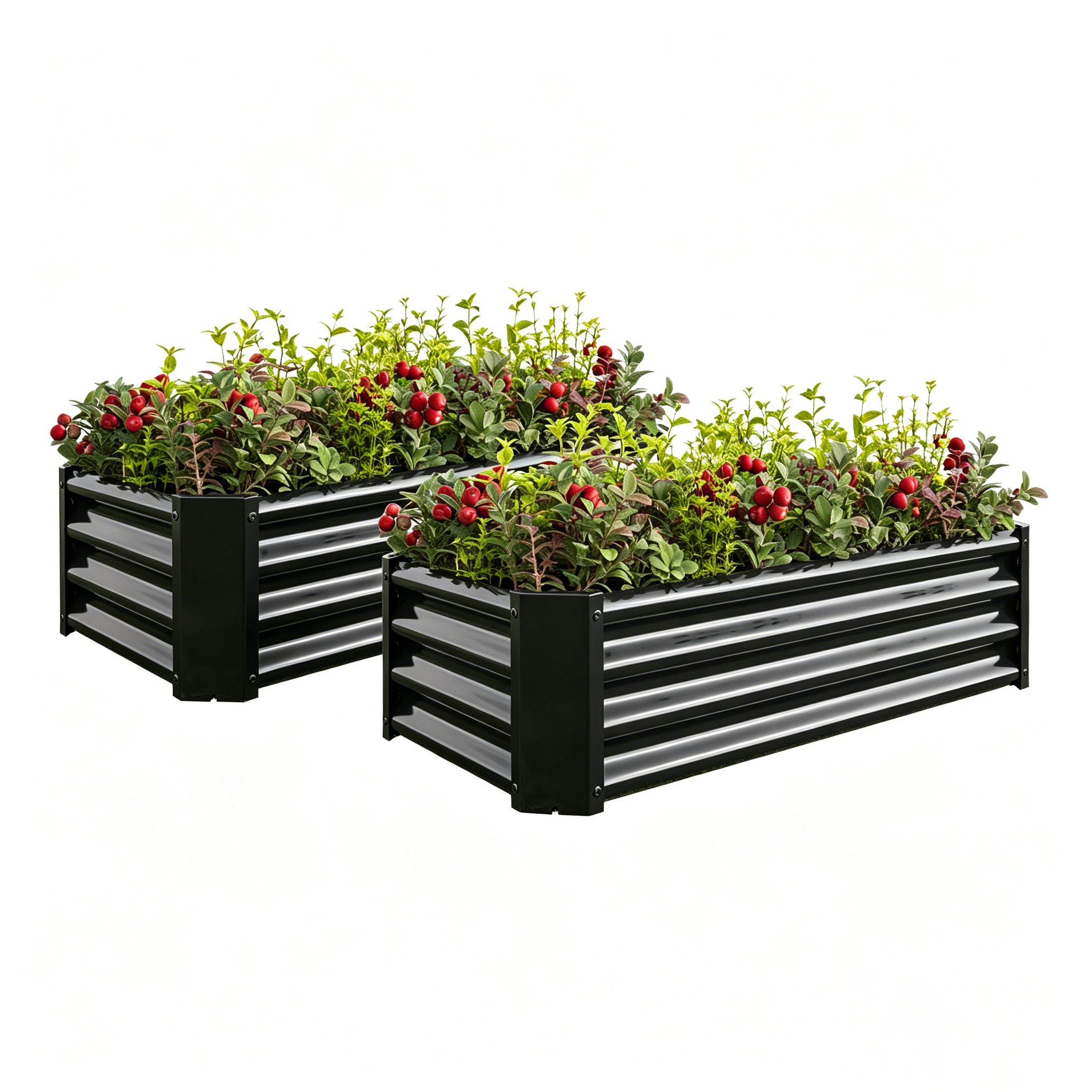 Jardinière surélevée métal 4x2x1 pi noir 2 pcs