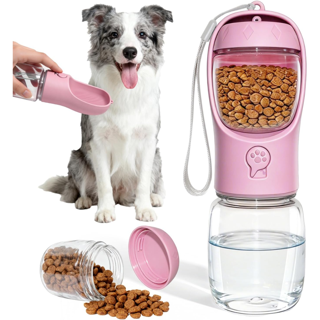 Bouteille eau chien portable 2 en 1 contenant nourriture