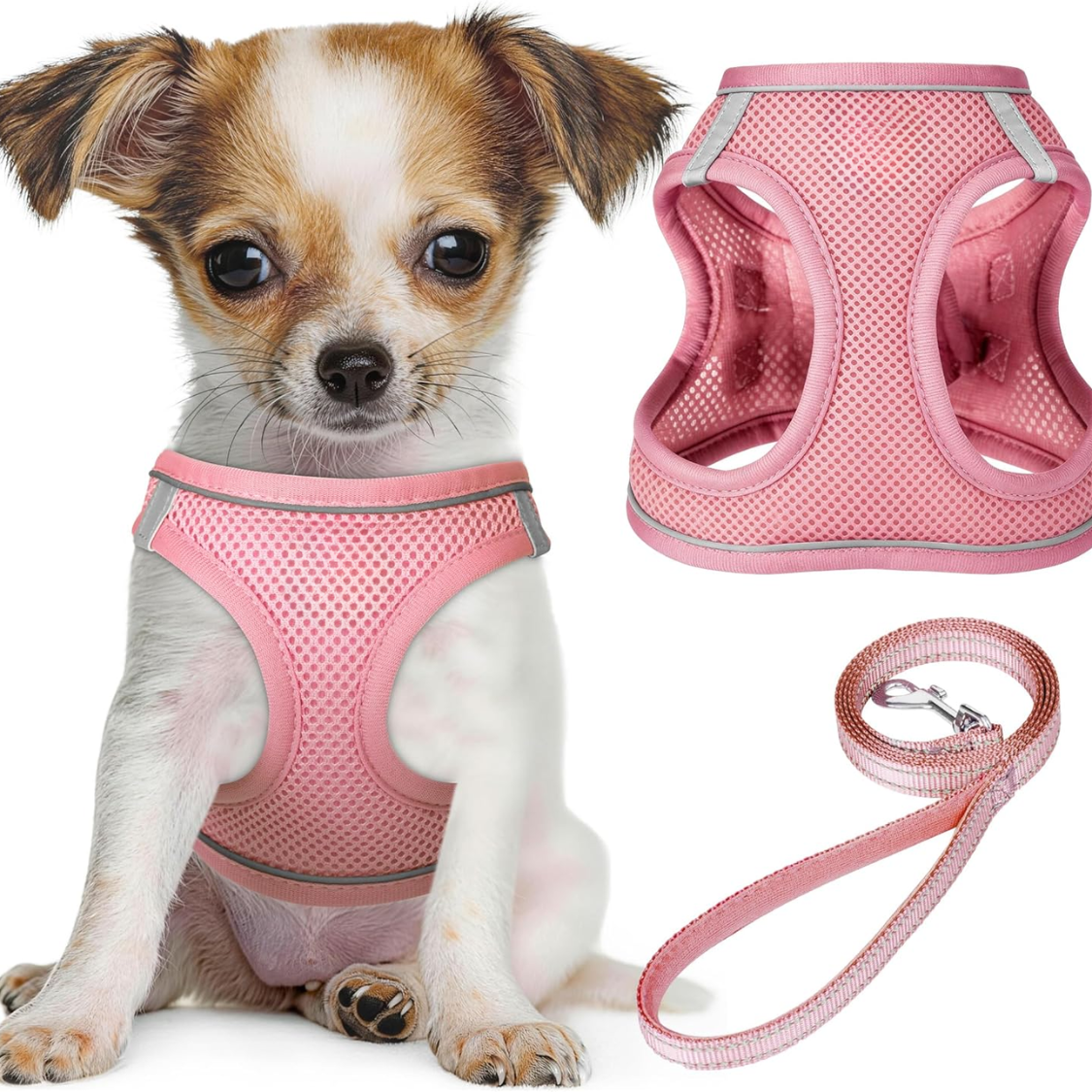 Harnais chien chiots sans traction, laisse, maille réfléchissante