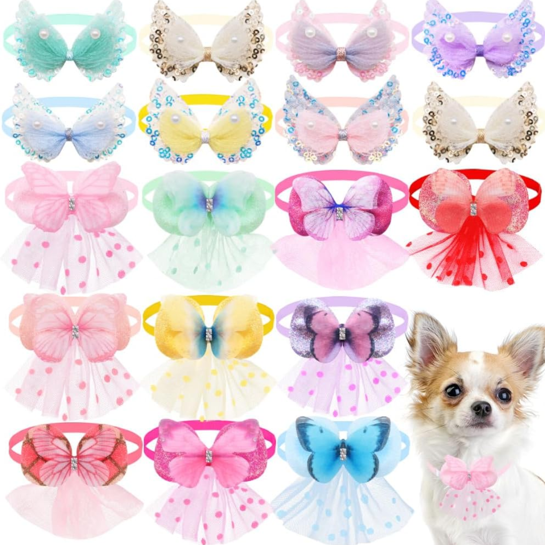 20 colliers chien petit race chiots chats accessoire toilettage