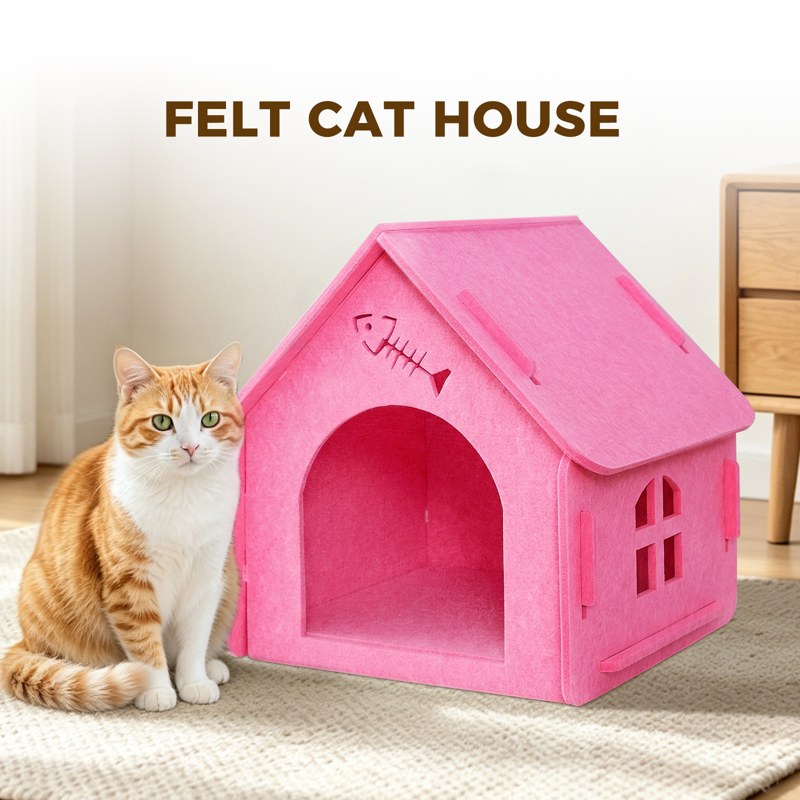 Maison chat ramassage sur place seulement